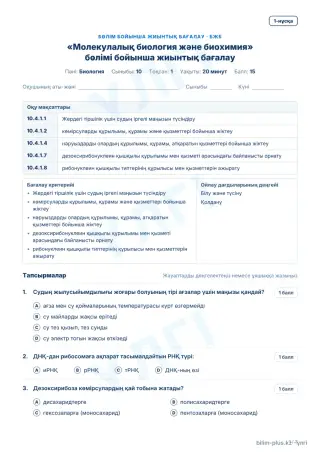 Үлгі · БЖБ · 1-нұсқа