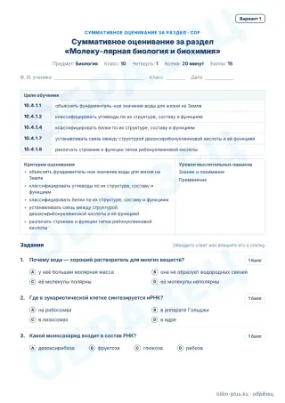 Образец · СОР · вариант 1