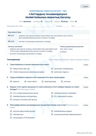 Үлгі · БЖБ · 1-нұсқа