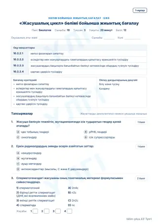 Үлгі · БЖБ · 1-нұсқа