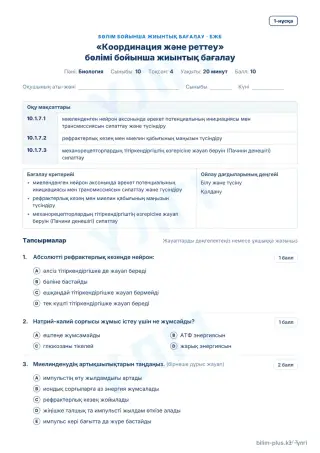 Үлгі · БЖБ · 1-нұсқа