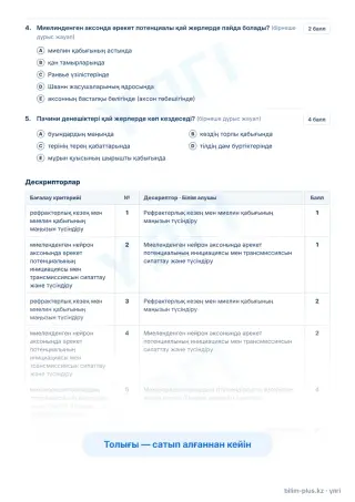Үлгі · Тапсырмалар