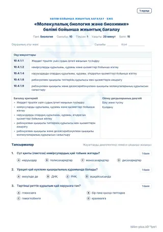 Үлгі · БЖБ · 1-нұсқа