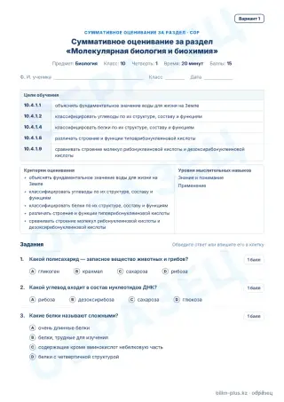 Образец · СОР · вариант 1