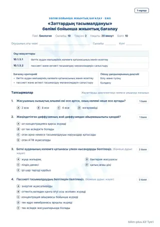 Үлгі · БЖБ · 1-нұсқа