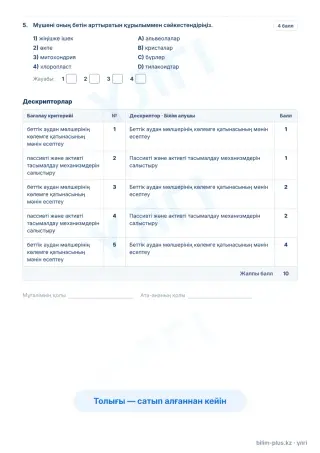 Үлгі · Тапсырмалар