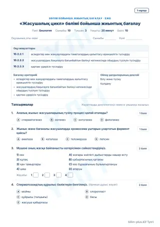 Үлгі · БЖБ · 1-нұсқа