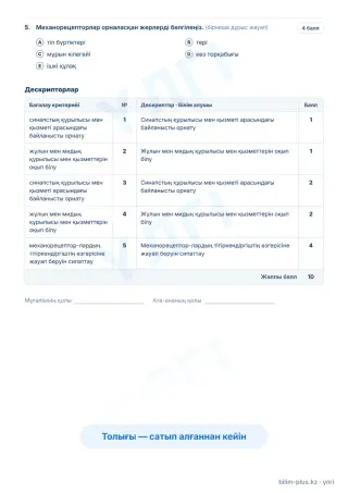 Үлгі · Тапсырмалар