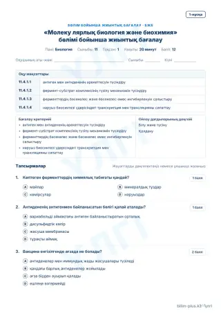 Үлгі · БЖБ · 1-нұсқа