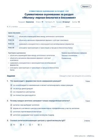 Образец · СОР · вариант 1