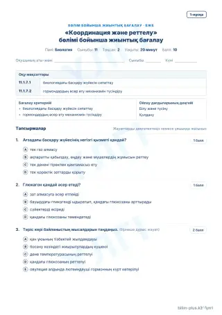 Үлгі · БЖБ · 1-нұсқа