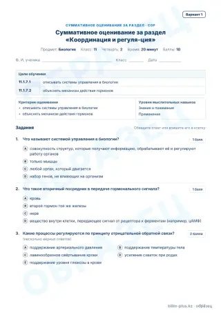 Образец · СОР · вариант 1