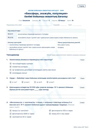 Үлгі · БЖБ · 1-нұсқа