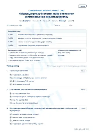 Үлгі · БЖБ · 1-нұсқа