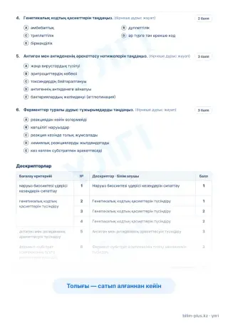 Үлгі · Тапсырмалар