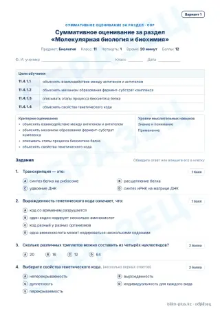 Образец · СОР · вариант 1