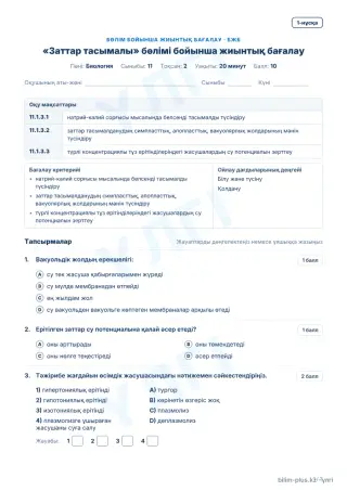 Үлгі · БЖБ · 1-нұсқа