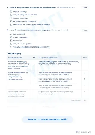 Үлгі · Тапсырмалар