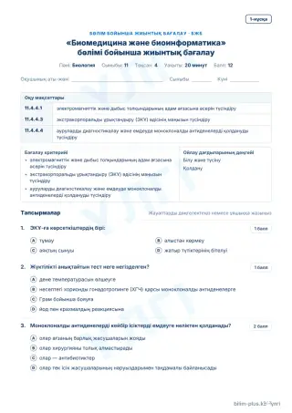 Үлгі · БЖБ · 1-нұсқа