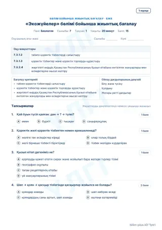 Үлгі · БЖБ · 1-нұсқа