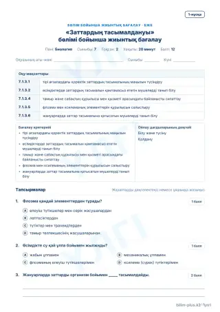 Үлгі · БЖБ · 1-нұсқа