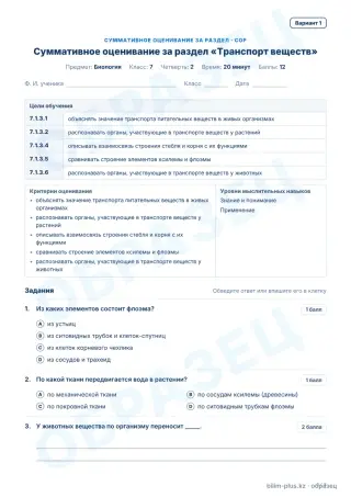 Образец · СОР · вариант 1