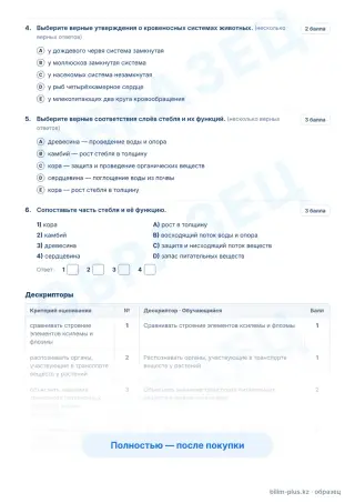 Образец · Задания