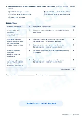 Образец · Задания