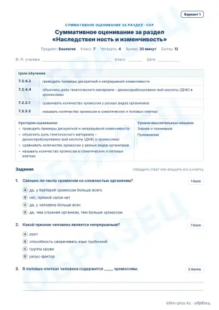 Образец · СОР · вариант 1
