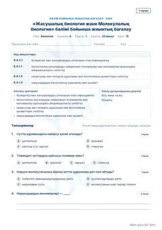 Үлгі · БЖБ · 1-нұсқа