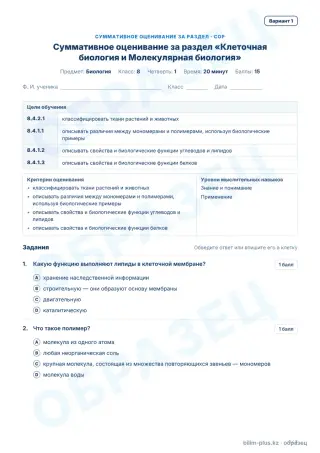 Образец · СОР · вариант 1