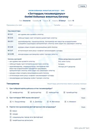 Үлгі · БЖБ · 1-нұсқа