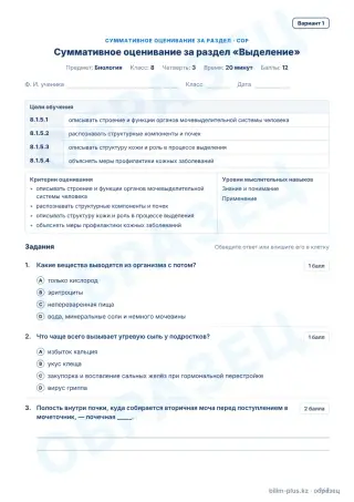 Образец · СОР · вариант 1