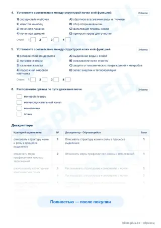 Образец · Задания