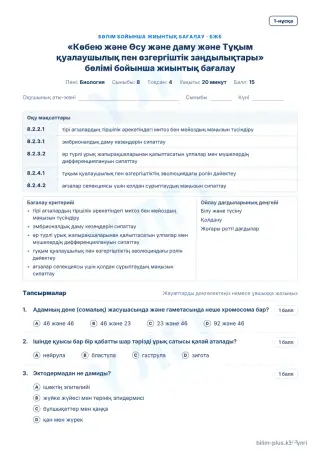 Үлгі · БЖБ · 1-нұсқа