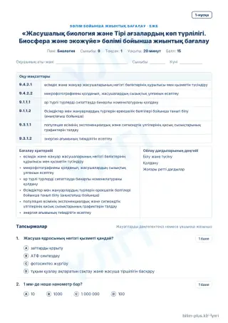 Үлгі · БЖБ · 1-нұсқа