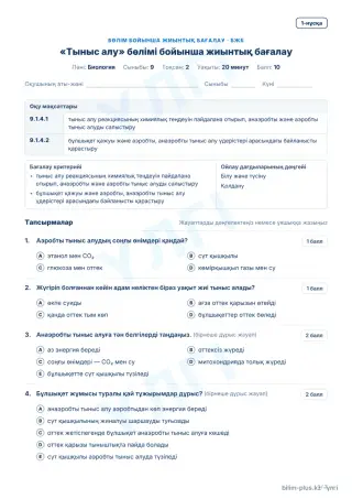 Үлгі · БЖБ · 1-нұсқа