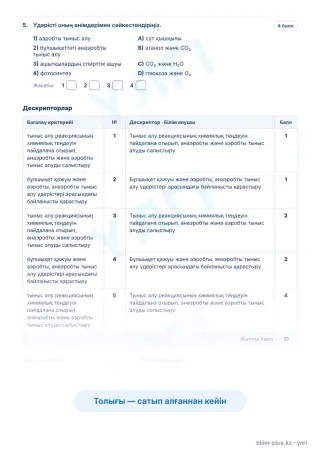 Үлгі · Тапсырмалар