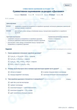 Образец · СОР · вариант 1