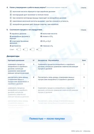 Образец · Задания