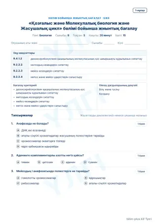 Үлгі · БЖБ · 1-нұсқа