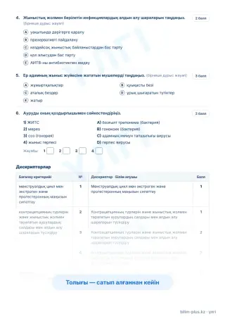 Үлгі · Тапсырмалар