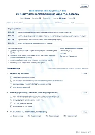 Үлгі · БЖБ · 1-нұсқа