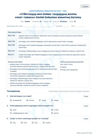 Үлгі · БЖБ · 1-нұсқа