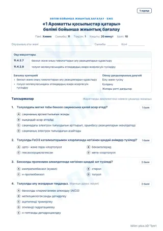 Үлгі · БЖБ · 1-нұсқа