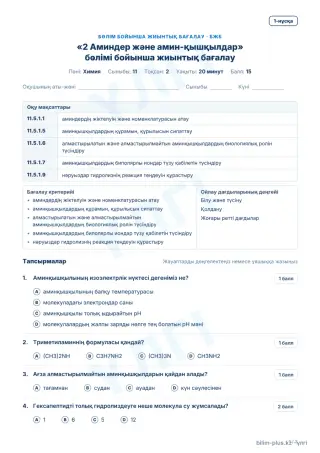 Үлгі · БЖБ · 1-нұсқа