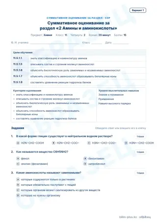 Образец · СОР · вариант 1