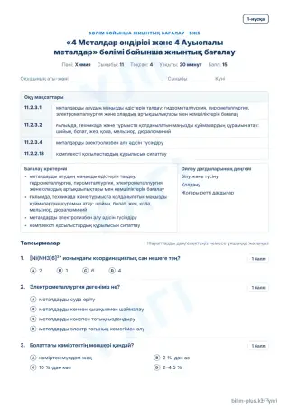 Үлгі · БЖБ · 1-нұсқа
