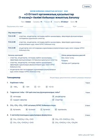 Үлгі · БЖБ · 1-нұсқа