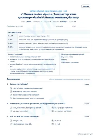 Үлгі · БЖБ · 1-нұсқа